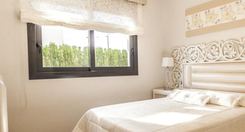 Executive Rooms